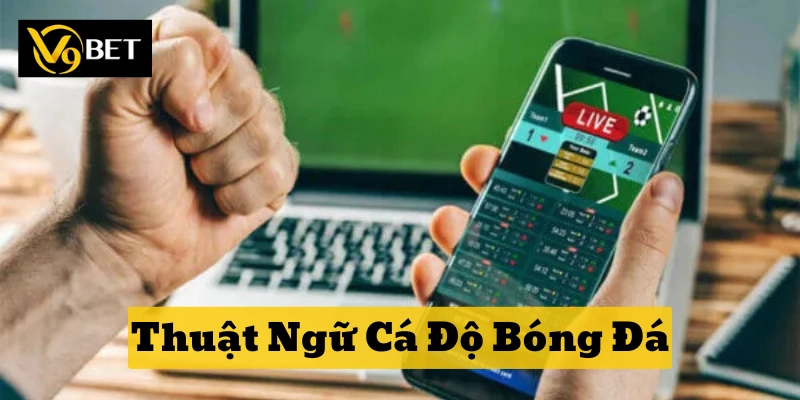 Thuật Ngữ Cá Độ Bóng Đá cho người mới