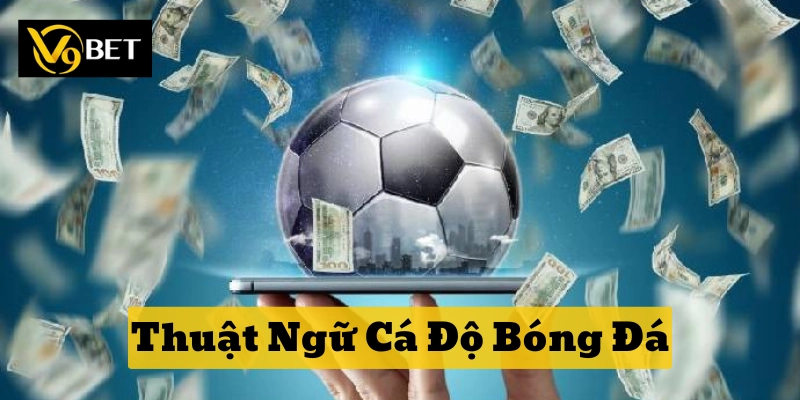 Thuật Ngữ Cá Độ Bóng Đá – Cẩm Nang Cho Người Mới Tại V9bet