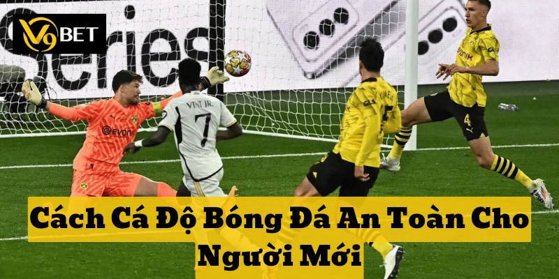 Bảo mật thông tin với Cách Cá Độ Bóng Đá An Toàn Cho Người Mới